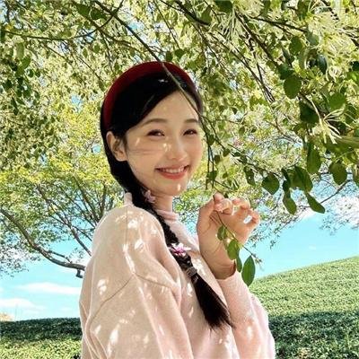 圣诞兔子